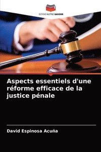 bokomslag Aspects essentiels d'une rforme efficace de la justice pnale
