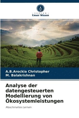 bokomslag Analyse der datengesteuerten Modellierung von kosystemleistungen