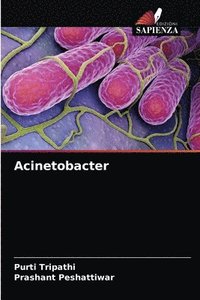 bokomslag Acinetobacter