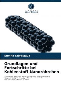 bokomslag Grundlagen und Fortschritte bei Kohlenstoff-Nanoroehrchen