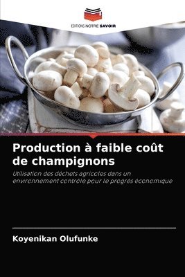 Production  faible cot de champignons 1