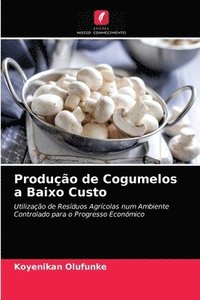 bokomslag Produo de Cogumelos a Baixo Custo
