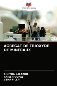 bokomslag Agrgat de Trioxyde de Minraux