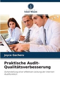 bokomslag Praktische Audit-Qualittsverbesserung
