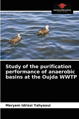 Study of the purification performance of anaerobic basins at the Oujda WWTP 1