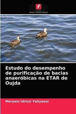 Estudo do desempenho de purificao de bacias anaerbicas na ETAR de Oujda 1