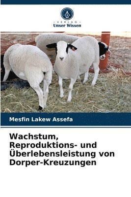 bokomslag Wachstum, Reproduktions- und berlebensleistung von Dorper-Kreuzungen