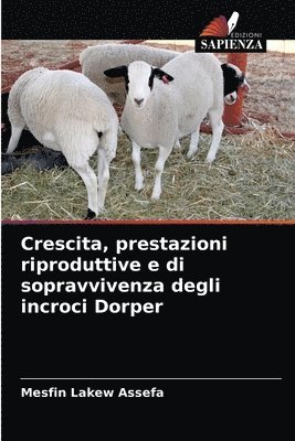 Crescita, prestazioni riproduttive e di sopravvivenza degli incroci Dorper 1