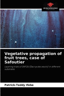 Vegetative propagation of fruit trees, case of Safoutier 1