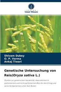 bokomslag Genetische Untersuchung von Reis(Oryza sativa L.)