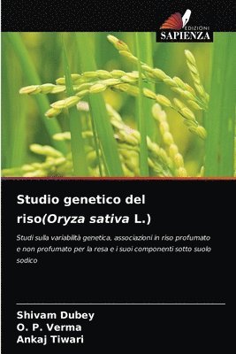 bokomslag Studio genetico del riso(Oryza sativa L.)