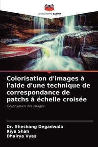bokomslag Colorisation d'images  l'aide d'une technique de correspondance de patchs  chelle croise