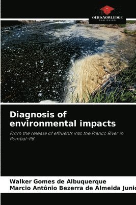 Diagnosis of environmental impacts 1