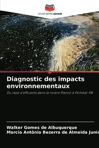 bokomslag Diagnostic des impacts environnementaux