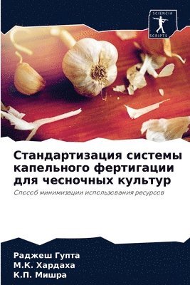 &#1057;&#1090;&#1072;&#1085;&#1076;&#1072;&#1088;&#1090;&#1080;&#1079;&#1072;&#1094;&#1080;&#1103; &#1089;&#1080;&#1089;&#1090;&#1077;&#1084;&#1099; 1