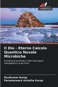 bokomslag Il Dio - Eterno Calcolo Quantico Nuvole Microbiche