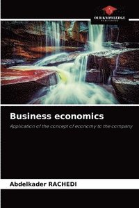 bokomslag Business economics