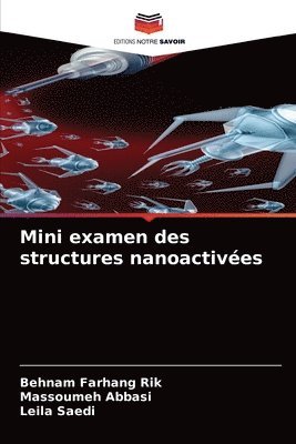 bokomslag Mini examen des structures nanoactives