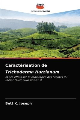 Caractrisation de Trichoderma Harzianum 1