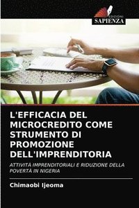 bokomslag L'Efficacia del Microcredito Come Strumento Di Promozione Dell'imprenditoria