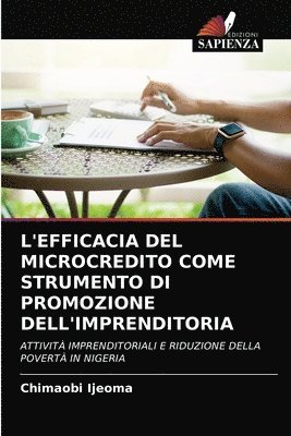 L'Efficacia del Microcredito Come Strumento Di Promozione Dell'imprenditoria 1