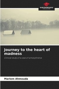 bokomslag Journey to the heart of madness