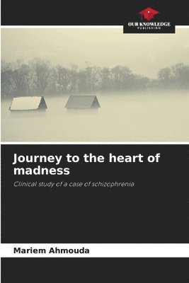 bokomslag Journey to the heart of madness