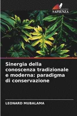 bokomslag Sinergia della conoscenza tradizionale e moderna