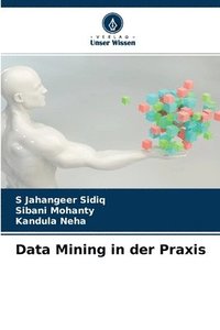 bokomslag Data Mining in der Praxis
