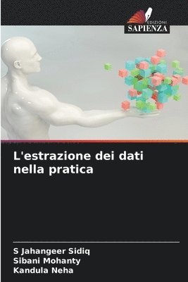 bokomslag L'estrazione dei dati nella pratica