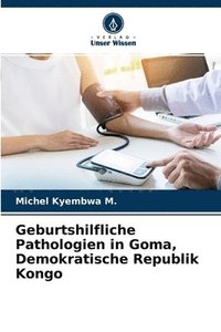 bokomslag Geburtshilfliche Pathologien in Goma, Demokratische Republik Kongo