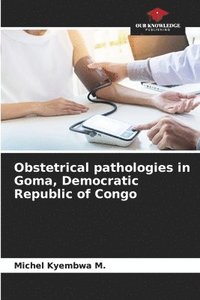 bokomslag Obstetrical pathologies in Goma, Democratic Republic of Congo