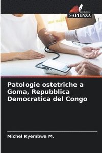 bokomslag Patologie ostetriche a Goma, Repubblica Democratica del Congo