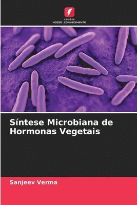 bokomslag Sntese Microbiana de Hormonas Vegetais