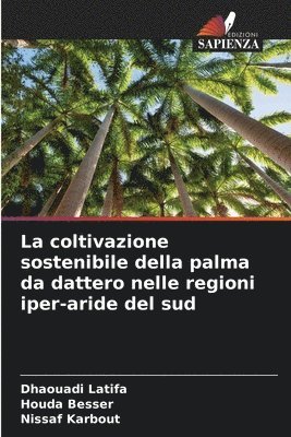La coltivazione sostenibile della palma da dattero nelle regioni iper-aride del sud 1