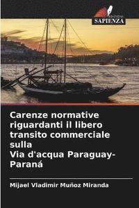 bokomslag Carenze normative riguardanti il libero transito commerciale sulla Via d'acqua Paraguay-Paran