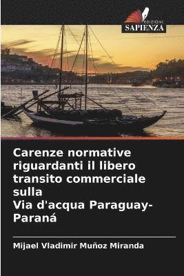 Carenze normative riguardanti il libero transito commerciale sulla Via d'acqua Paraguay-Paran 1