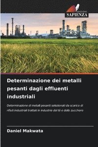 bokomslag Determinazione dei metalli pesanti dagli effluenti industriali