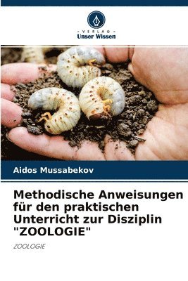 bokomslag Methodische Anweisungen fr den praktischen Unterricht zur Disziplin &quot;ZOOLOGIE&quot;