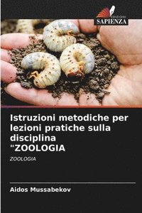 bokomslag Istruzioni metodiche per lezioni pratiche sulla disciplina &quot;ZOOLOGIA