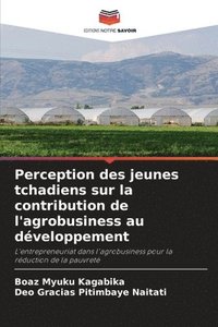 bokomslag Perception des jeunes tchadiens sur la contribution de l'agrobusiness au dveloppement
