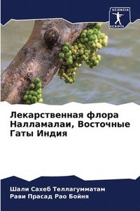 bokomslag &#1051;&#1077;&#1082;&#1072;&#1088;&#1089;&#1090;&#1074;&#1077;&#1085;&#1085;&#1072;&#1103; &#1092;&#1083;&#1086;&#1088;&#1072; &#1053;&#1072;&#1083;&#1083;&#1072;&#1084;&#1072;&#1083;&#1072;&#1080;,