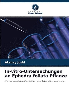 bokomslag In-vitro-Untersuchungen an Ephedra foliata Pflanze