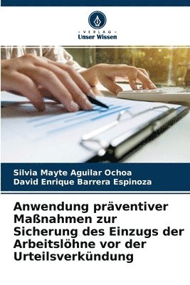 bokomslag Anwendung prventiver Manahmen zur Sicherung des Einzugs der Arbeitslhne vor der Urteilsverkndung