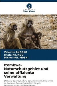 bokomslag Itombwe-Naturschutzgebiet und seine effiziente Verwaltung