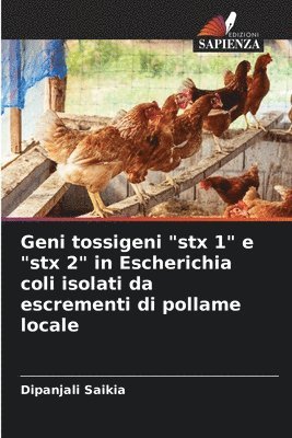 Geni tossigeni &quot;stx 1&quot; e &quot;stx 2&quot; in Escherichia coli isolati da escrementi di pollame locale 1