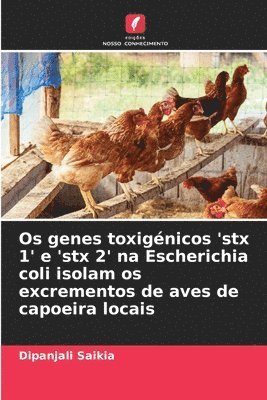 Os genes toxignicos 'stx 1' e 'stx 2' na Escherichia coli isolam os excrementos de aves de capoeira locais 1