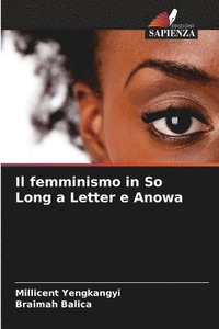 bokomslag Il femminismo in So Long a Letter e Anowa