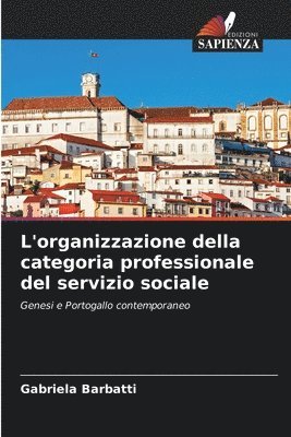 bokomslag L'organizzazione della categoria professionale del servizio sociale