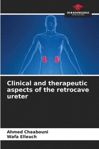 bokomslag Clinical and therapeutic aspects of the retrocave ureter